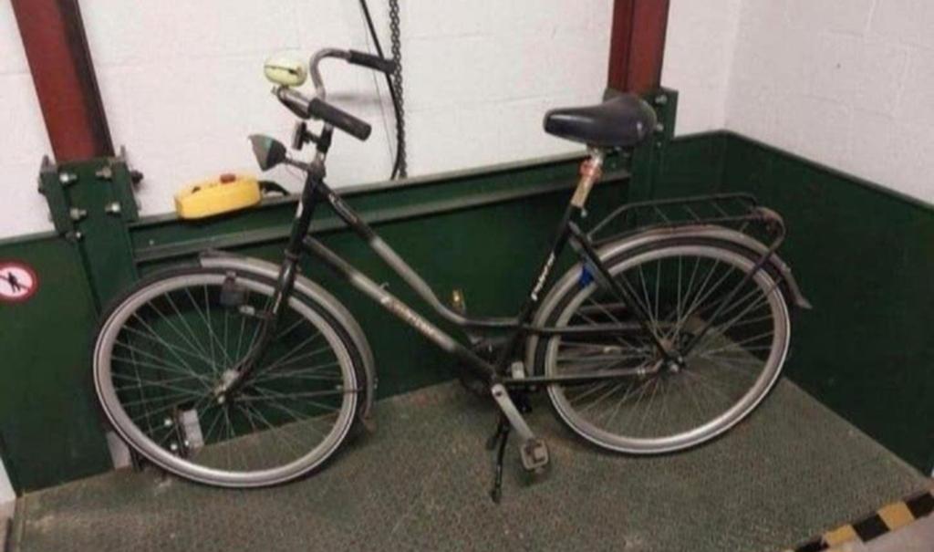 Vélo pour femme, techniquement solide, 51 à 55 cm, Enlèvement, Utilisé, Frein à rétropédalage