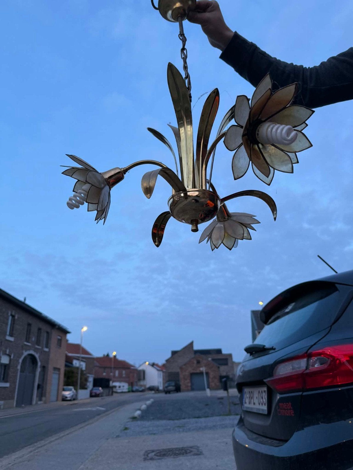 vintage bloemen lamp, Ophalen