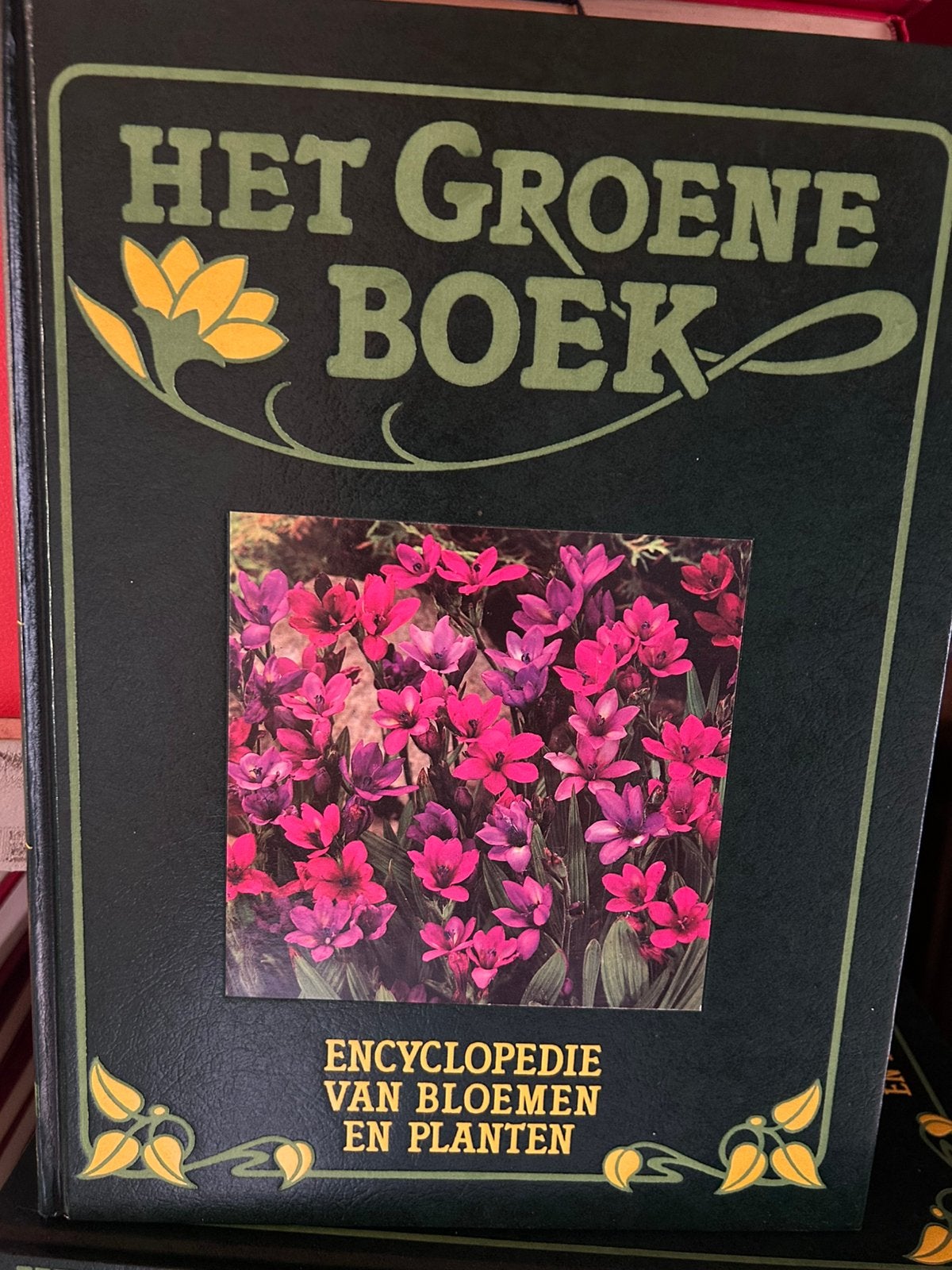 Het groene boek, Boeken, Ophalen, Zo goed als nieuw