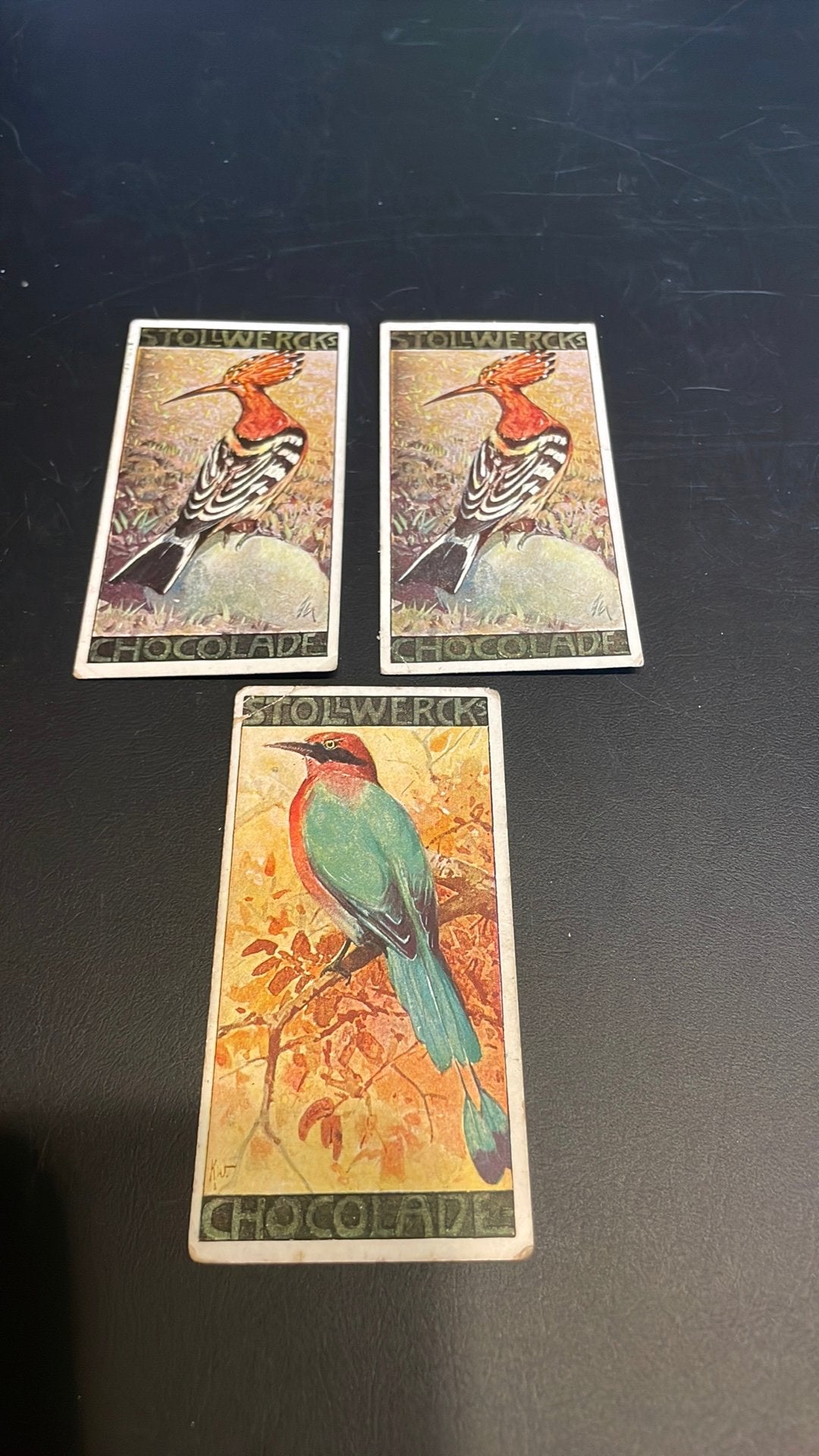 Stollwerck chromo geoep 32(x3a), Verzamelen, Gebruikt, Ophalen of Verzenden, 1940 tot 1960, Dier