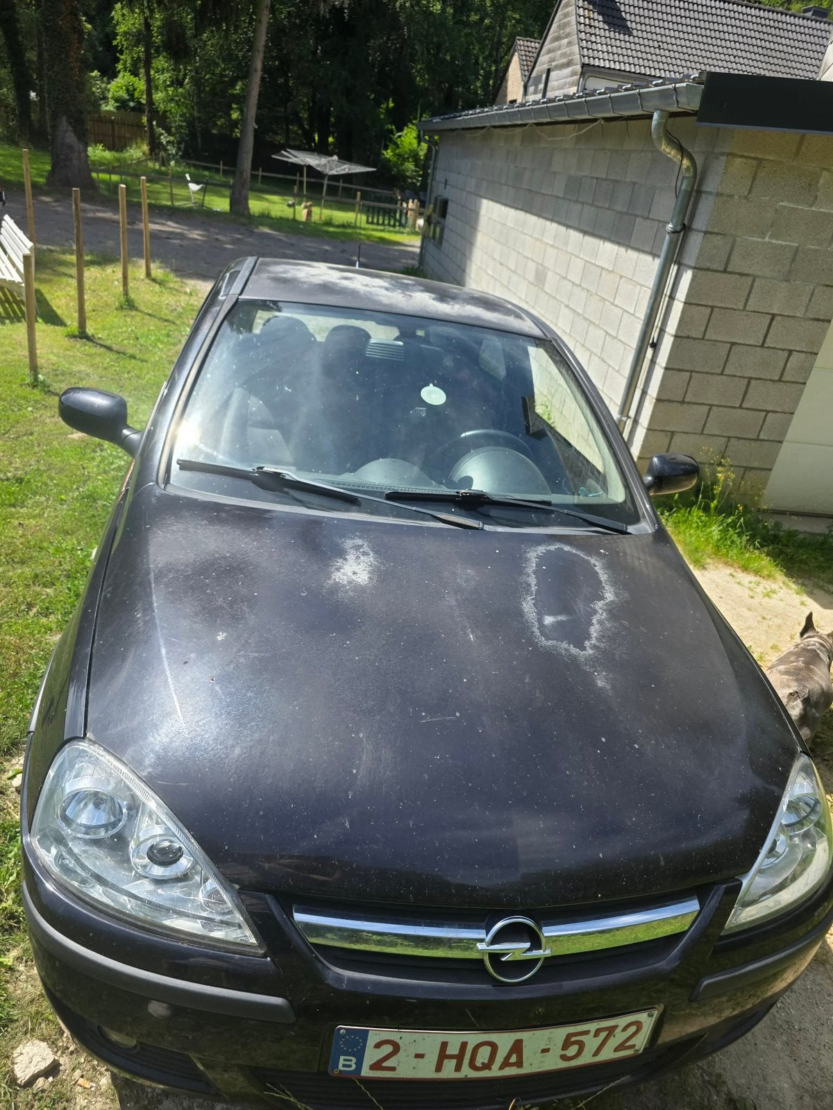 Opel, Autos, Entreprise, Boîte manuelle, Noir, 5 places