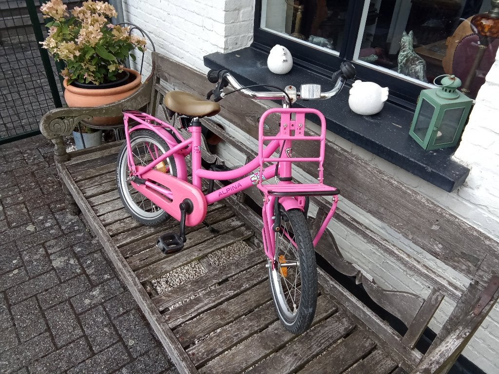 Kinderfietsje (meisjes) 16 inch merk Alpina in mooie staat, Fietsen en Brommers, Ophalen, Terugtraprem, 16 tot 20 inch, Alpina