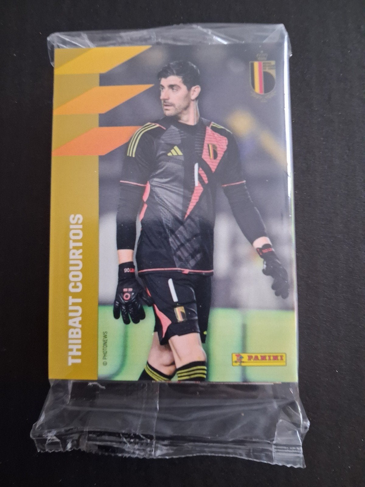 Panini Official  Cards "Belgian Red Devils" 50 cards + 1 New, Verzenden, Nieuw, Meerdere plaatjes