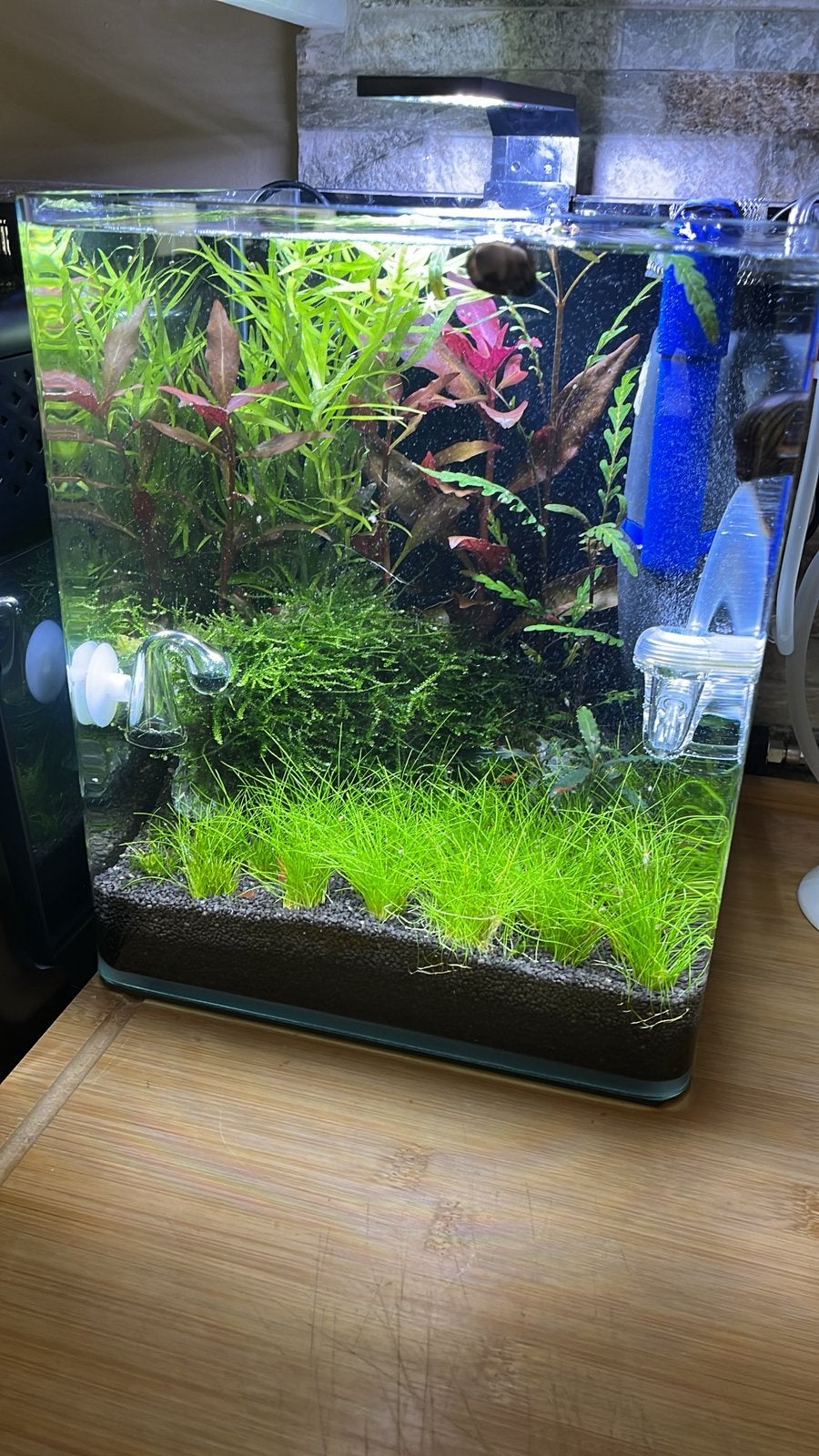 Aquarium Nano 25 l, Enlèvement ou Envoi, Comme neuf, Chauffage, Chihiros