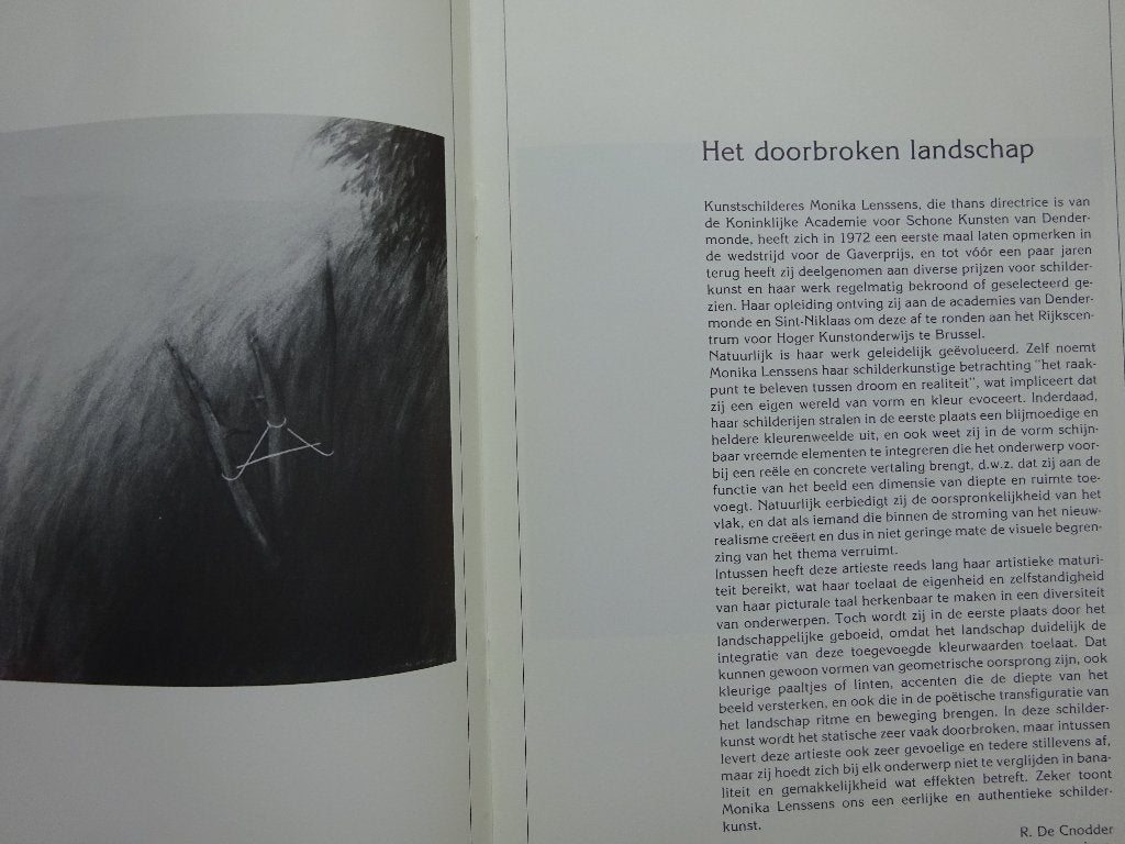 Monika Lenssens, BP Gallery 1985, Boeken, Ophalen of Verzenden, Zo goed als nieuw, Schilder- en Tekenkunst