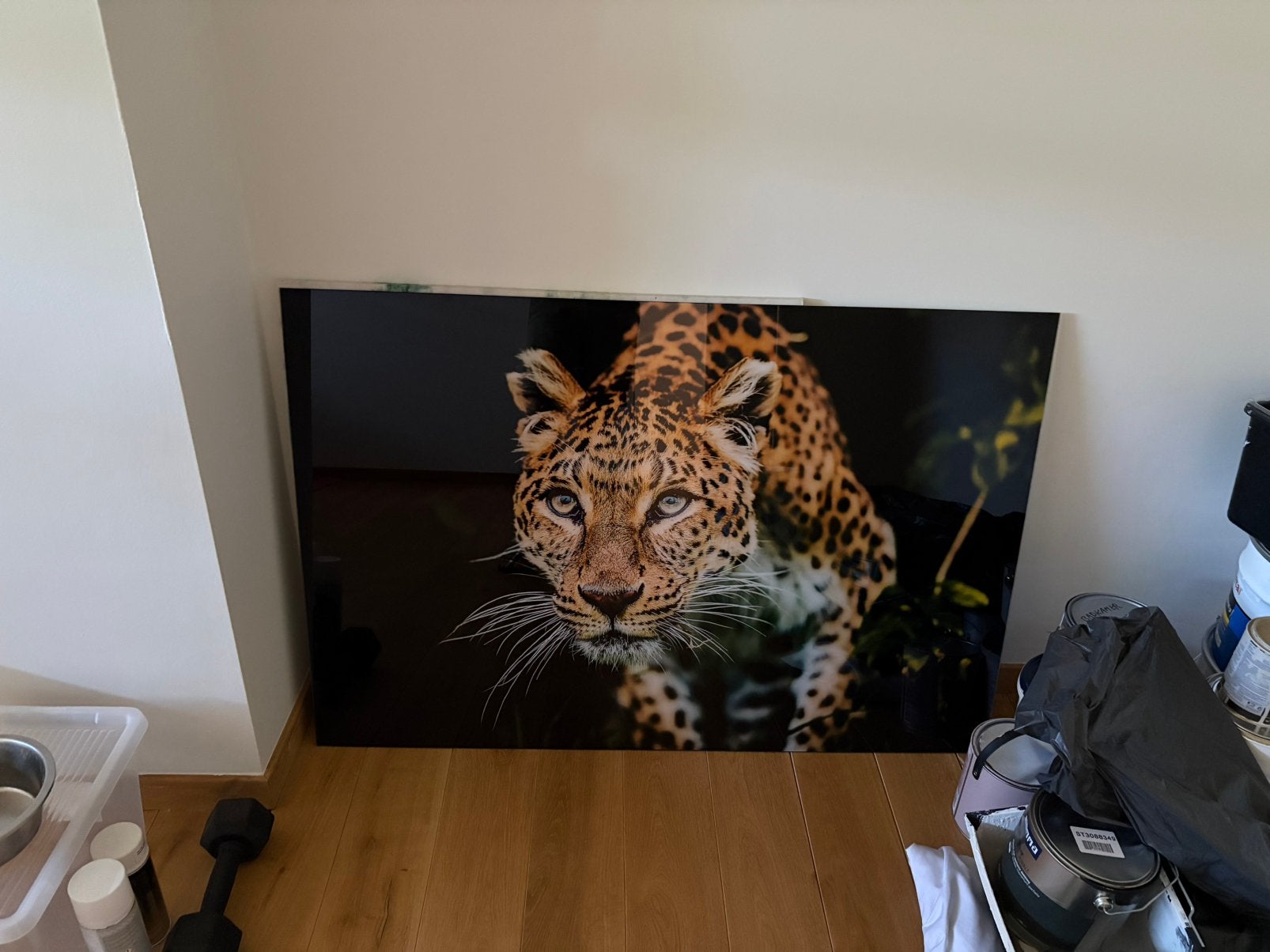 fotokader jachtluipaard, Ophalen, Zo goed als nieuw