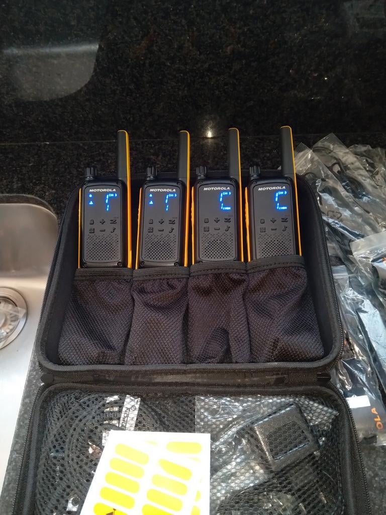 Motorola, Enlèvement