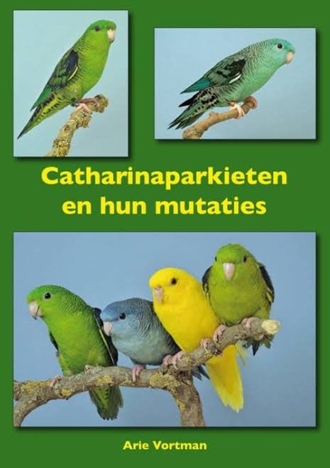 Gevraagd: forpussen en catharina parkieten en pyrrura, Dieren en Toebehoren