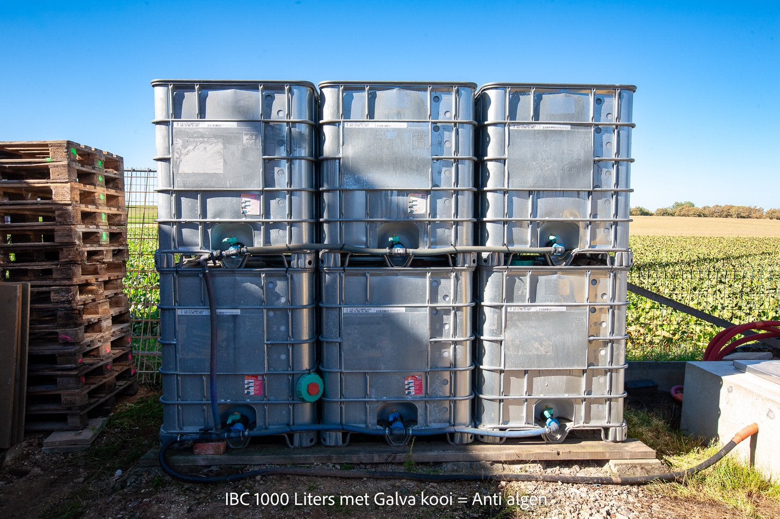 6× IBC 1000L – Galva Plaat  – €95/st of €550 compleet, Ophalen, Kunststof