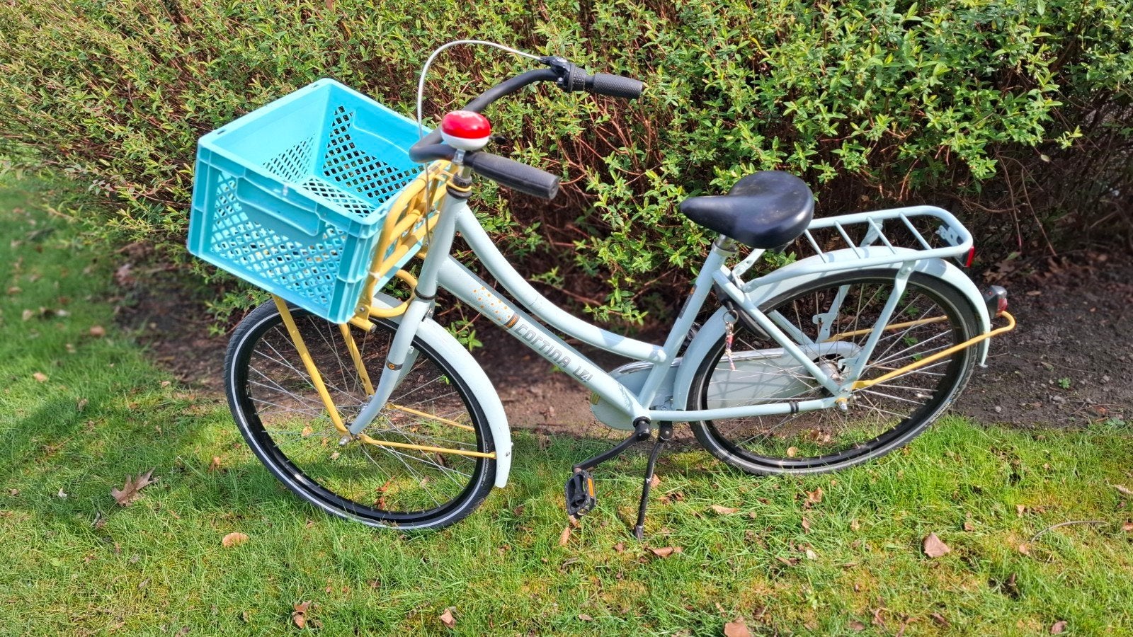 Mooie meisjesfiets, Enlèvement