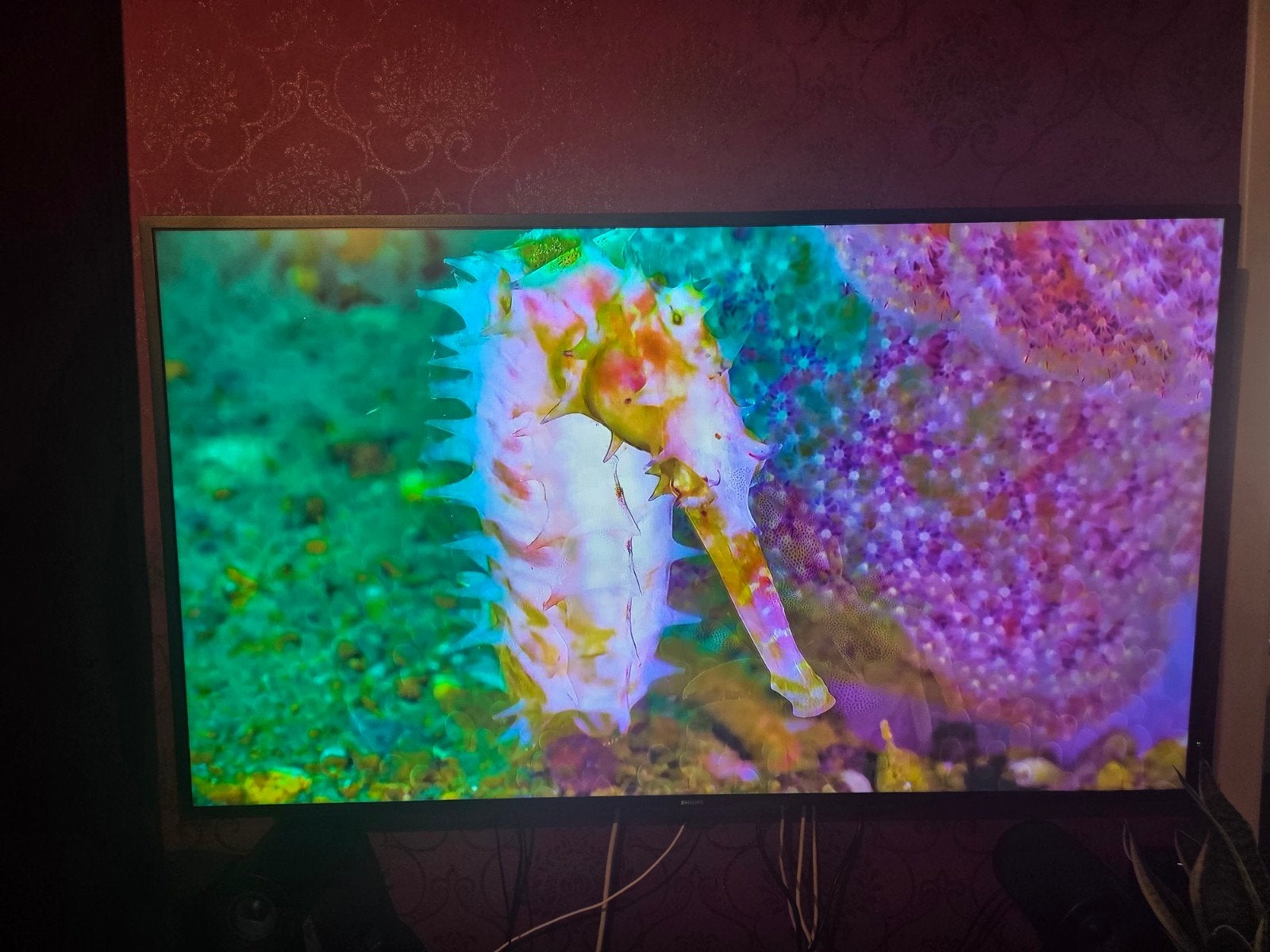 Philips 55BDL4550D – 55" 4K Professioneel Scherm, Audio, Tv en Foto, Televisies, 4k (UHD), Philips, Ophalen
