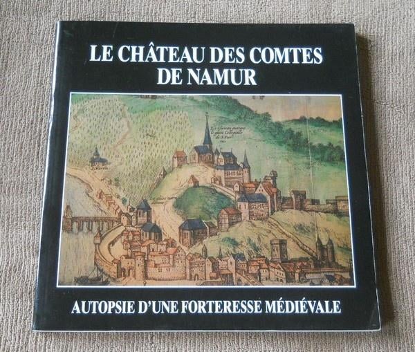 Le château des comtes de Namur - Autopsie d'une forteresse, Enlèvement ou Envoi, Utilisé