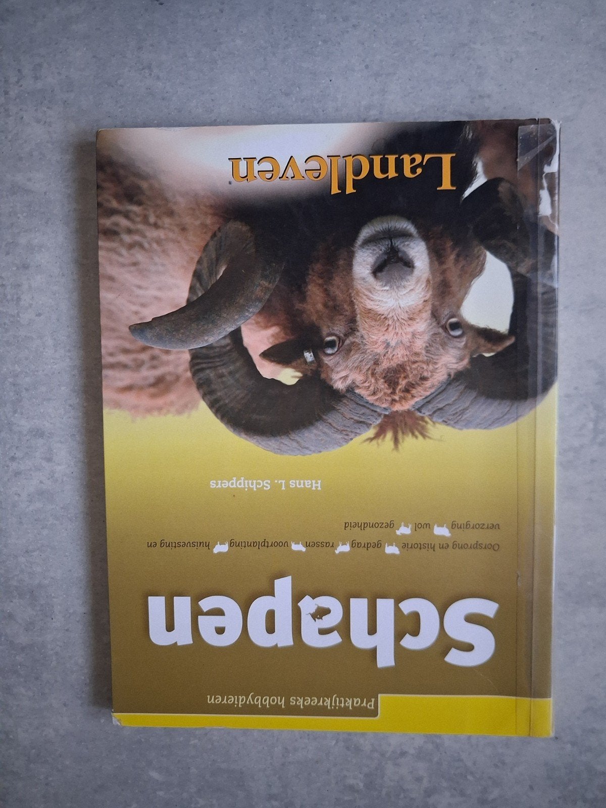 Boek: Schapen, Livres, Animaux & Animaux domestiques, Enlèvement