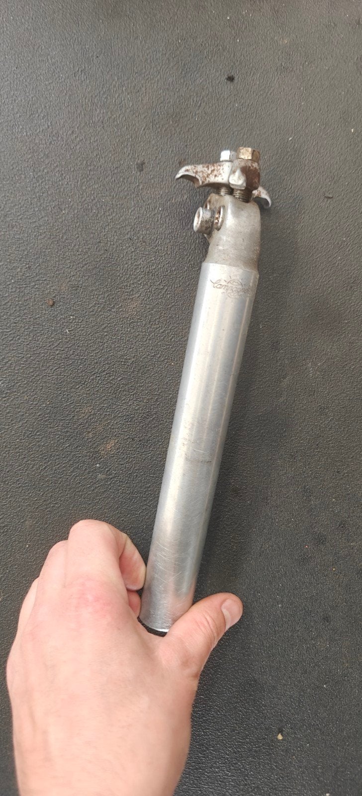 campagnolo zadelpennen, Ophalen of Verzenden