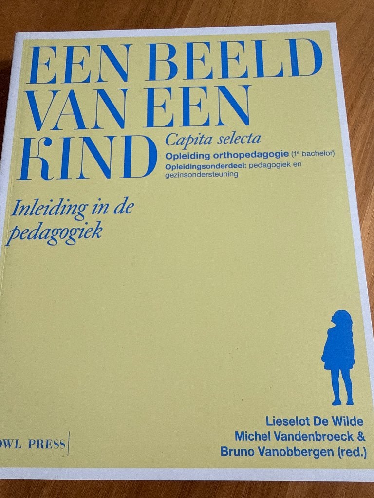 Een beeld van een kind, Boeken, Overige vakken, Nieuw, Ophalen of Verzenden, Lieselot De Wilde; Bruno Vanobbergen; Michel Vandenbroeck