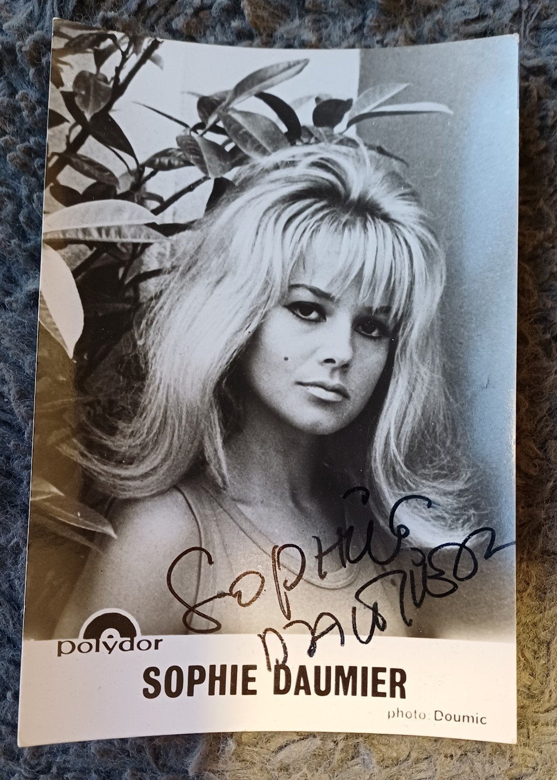 Divers photos autographe, Collections, Cinéma & Télévision