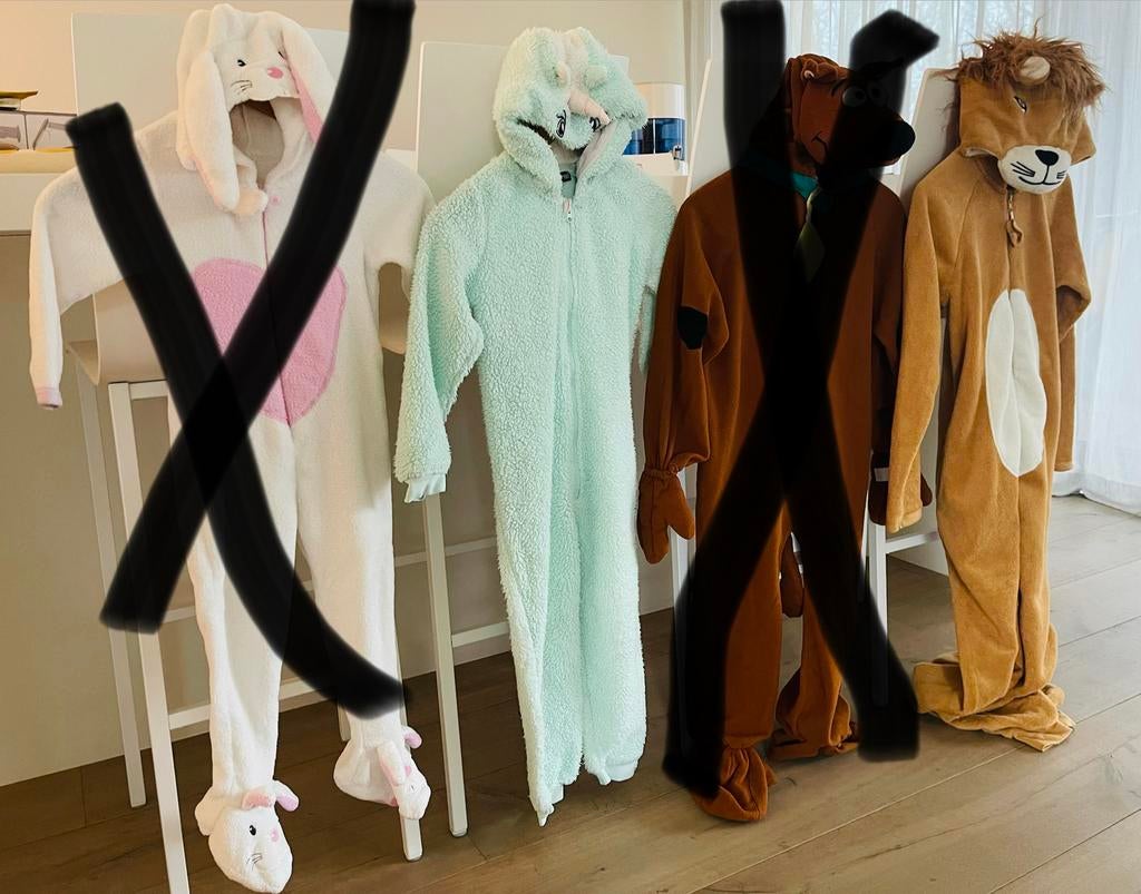 Carnavalskleding en Verkleedspullen : Dierenpak, Kinderen en Baby's, Carnavalskleding en Verkleedspullen, Ophalen, Gebruikt