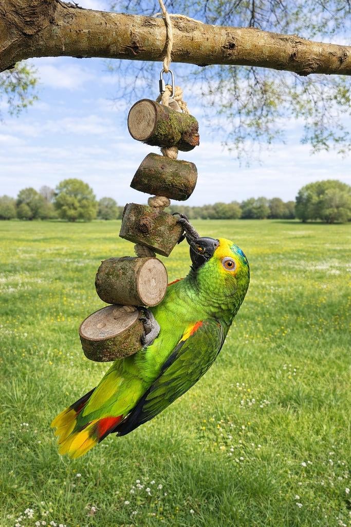 Papegaaienspeelgoed