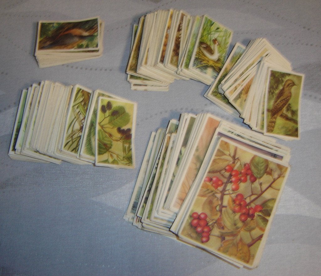 Chromos VEEN Dieren Planten Groot lot, 1960 tot 1980, Gebruikt, Verzenden, Prent