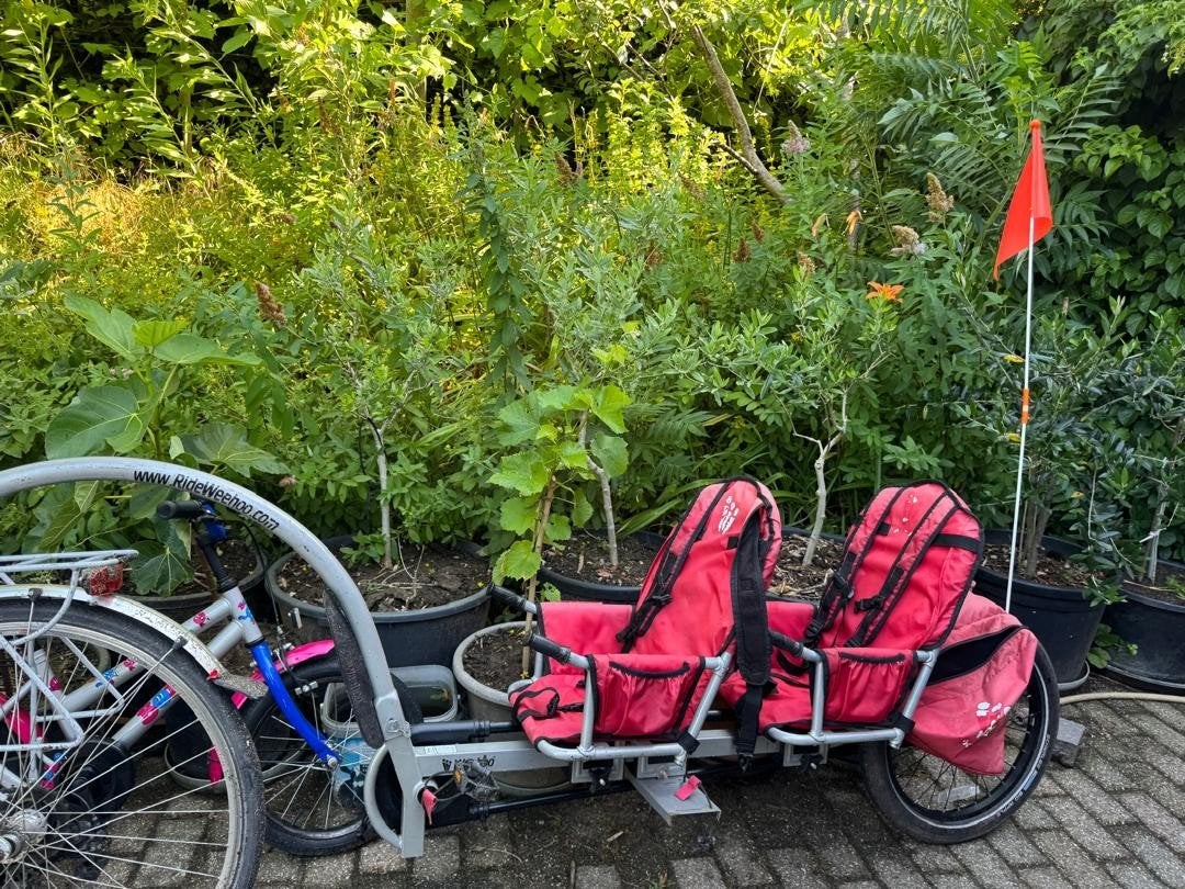 Weehoo 2, Fietsen en Brommers, Fietsaccessoires | Aanhangwagens en Karren, Ophalen