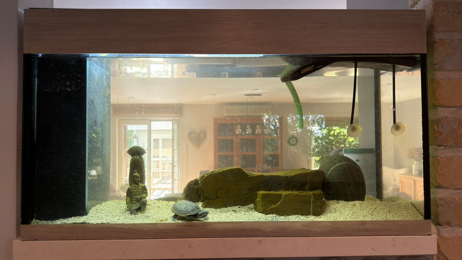 Aquarium met schildpad, Dieren en Toebehoren, Ophalen, Gebruikt, Terrarium of Paludarium