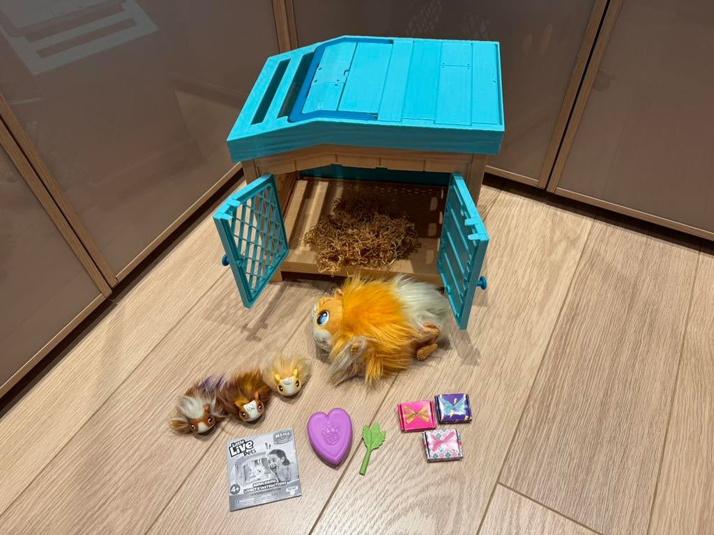 Mama surprise cavia’s, Ophalen, Gebruikt, Jongen of Meisje
