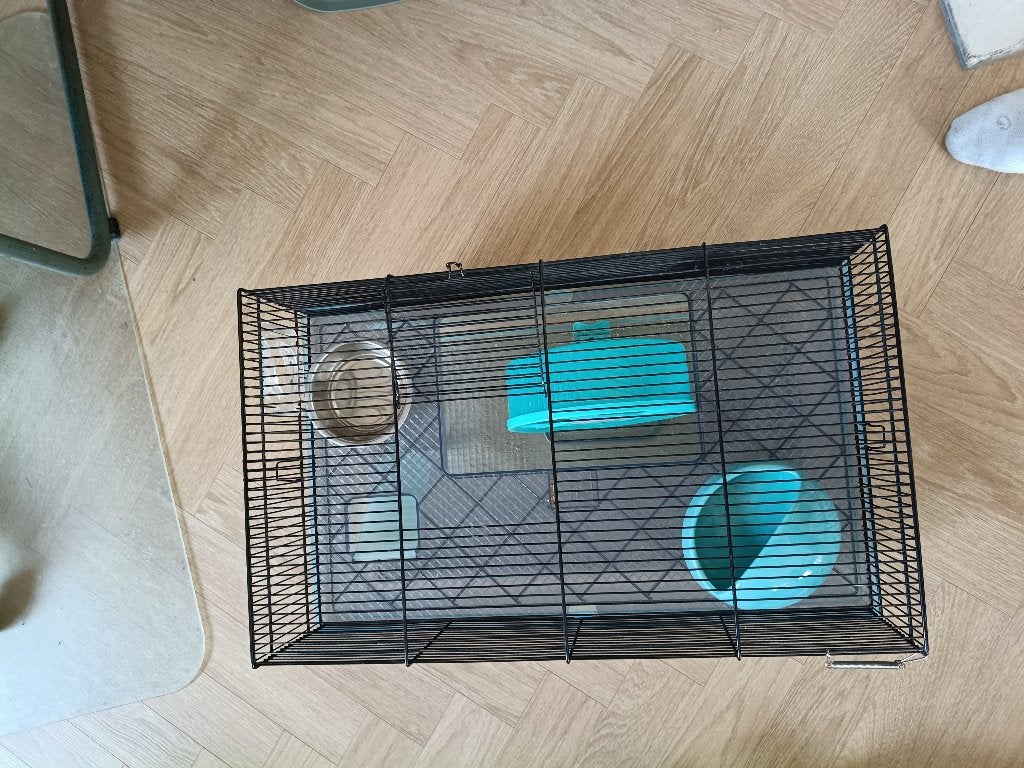 cage ferplast, roue et bac pour hamster nain, Animaux & Accessoires, Enlèvement, Utilisé, Autres types