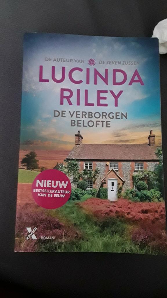 Lucinda Riley - De verborgen belofte, Boeken, Literatuur, Zo goed als nieuw, Ophalen of Verzenden