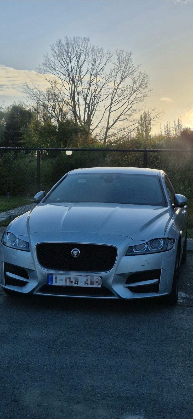 Problème de moteur Jaguar XF R-Sport 2.0d, Autos, Jaguar, Cuir, Argent ou Gris, Achat, Euro 6