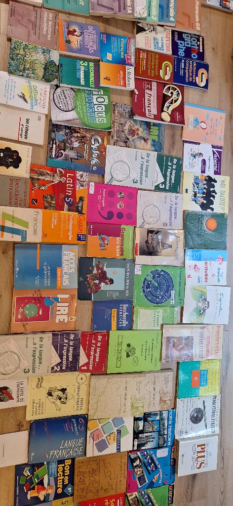 Livres pédagogiques, Livres, Enlèvement, Comme neuf, Enseignement secondaire inférieur, Français