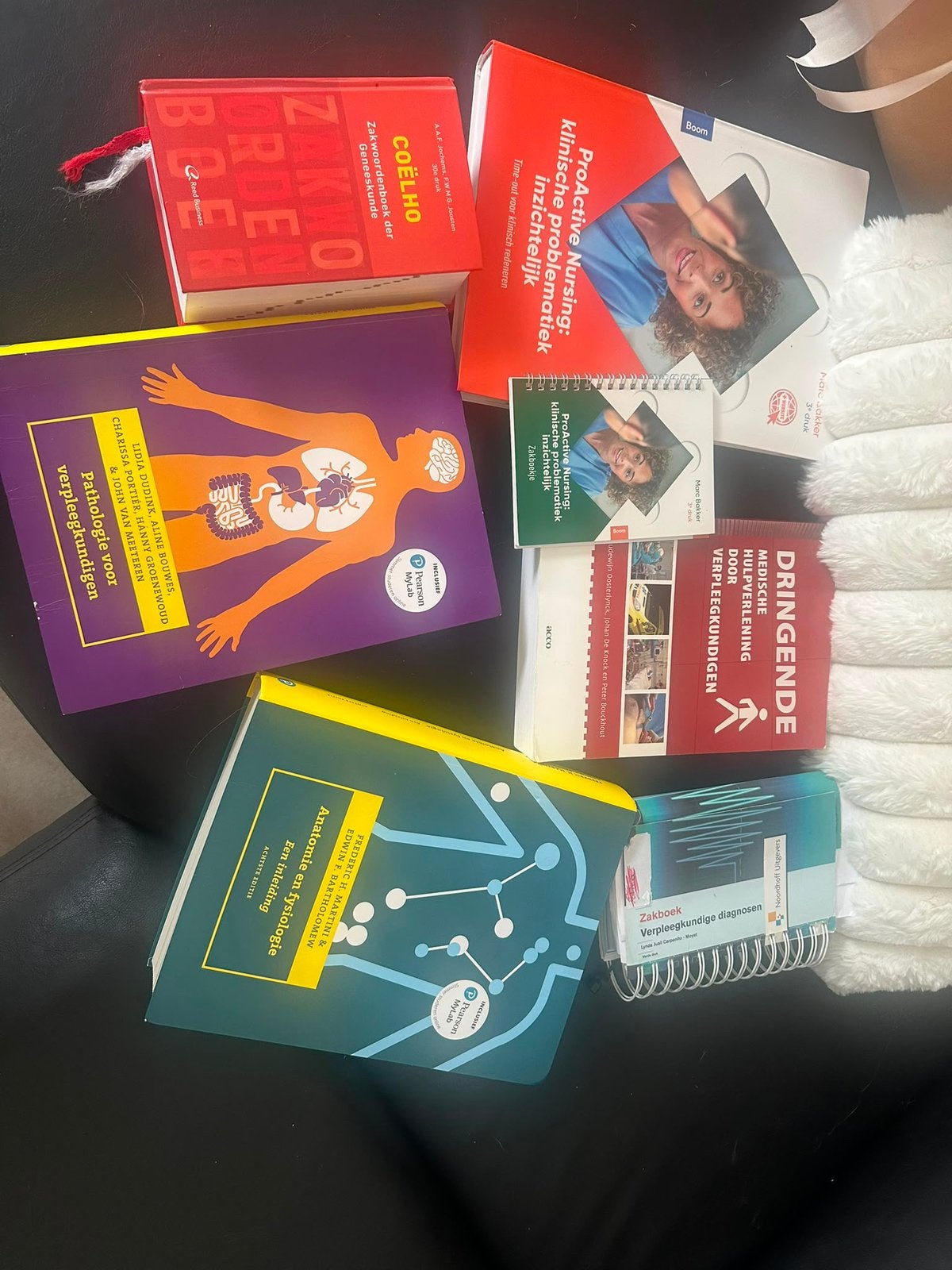 Boeken verpleegkunde, Boeken, Ophalen, Zo goed als nieuw