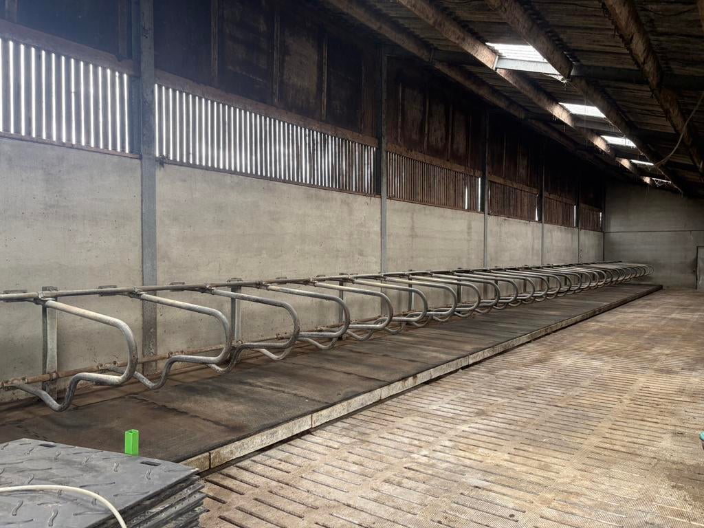 Ligboxen, Dieren en Toebehoren, Stalling en Weidegang