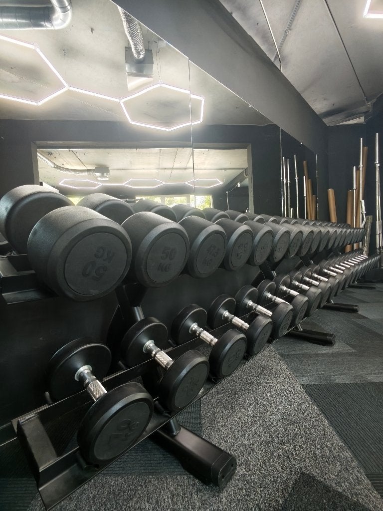 20 paar Dumbbells tot 50kg inclusief 2 racks, Sport en Fitness, Ophalen, Nieuw, Rug, Dumbbell