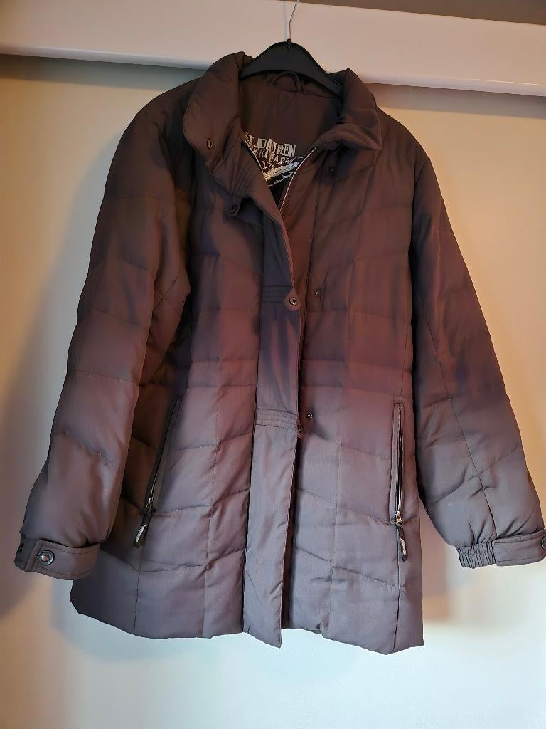 dames winterjas maat 40, Vêtements | Femmes, Vestes | Hiver, Enlèvement ou Envoi, Comme neuf, Taille 38/40 (M)