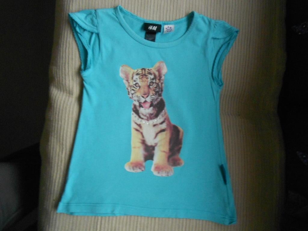 t-shirt H&M mt 110/116, Kinderen en Baby's, Kinderkleding | Maat 110, Gebruikt, Meisje, H&M, Ophalen of Verzenden
