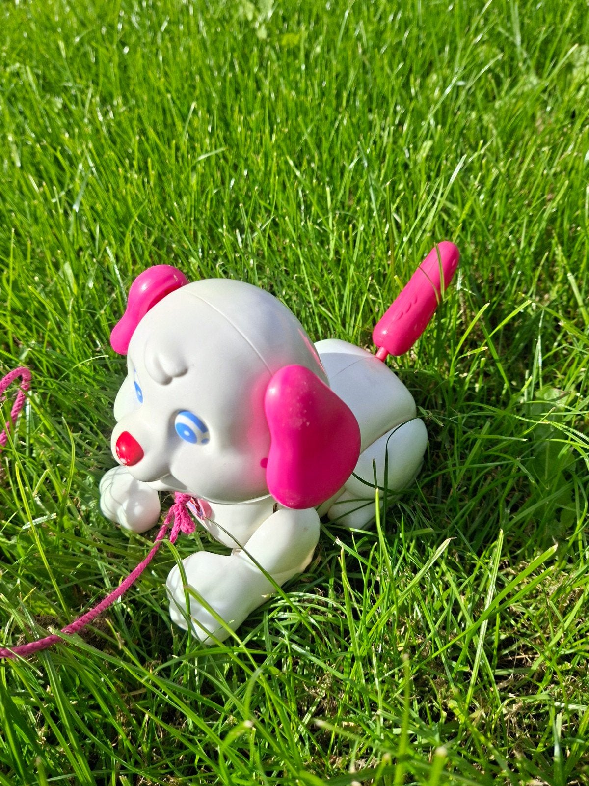 Fisher Price hond, Ophalen of Verzenden