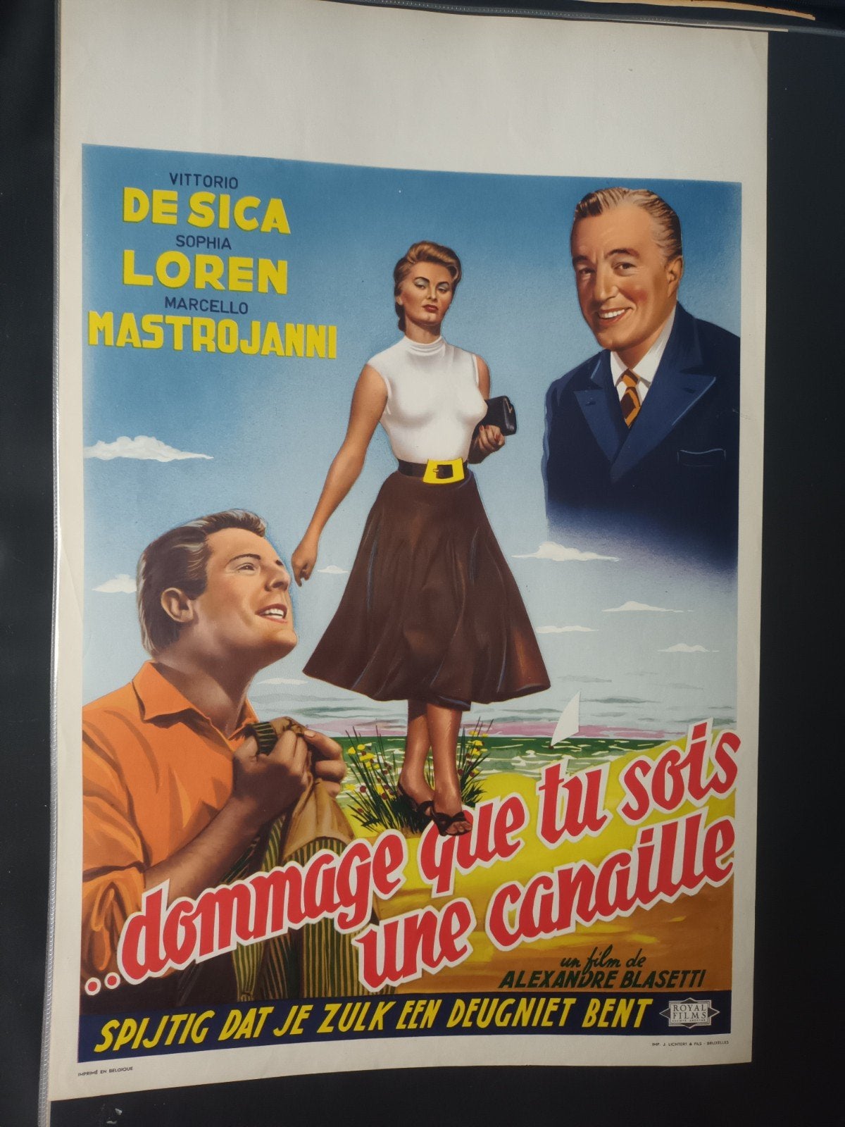 Filmposter Dommage que tu sois une canaille, Collections, Posters & Affiches, Rectangulaire vertical, A1 jusqu'à A3, Utilisé, Cinéma et TV