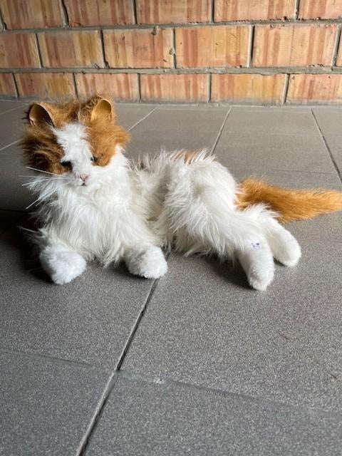 fur real kat, Ophalen, Gebruikt