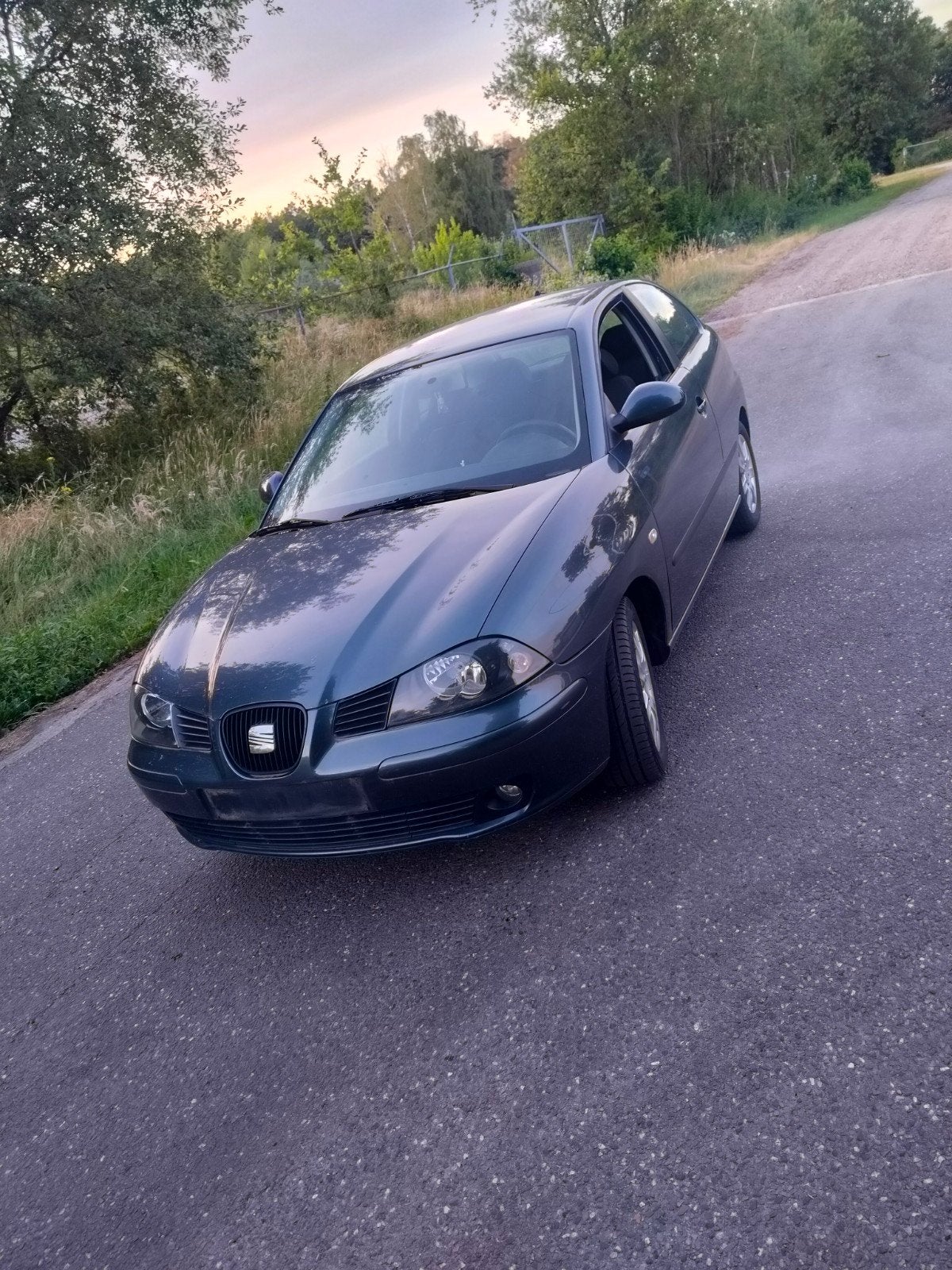 Seat Ibiza, Auto's, Seat, Ibiza, Diesel, Particulier, Te koop