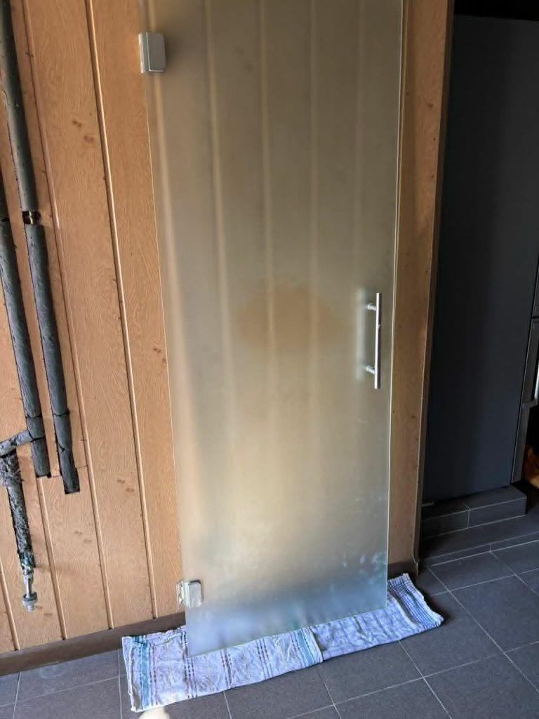 Glazen deur met inox deurklink, Doe-het-zelf en Bouw, Ophalen of Verzenden, Nieuw, Glas
