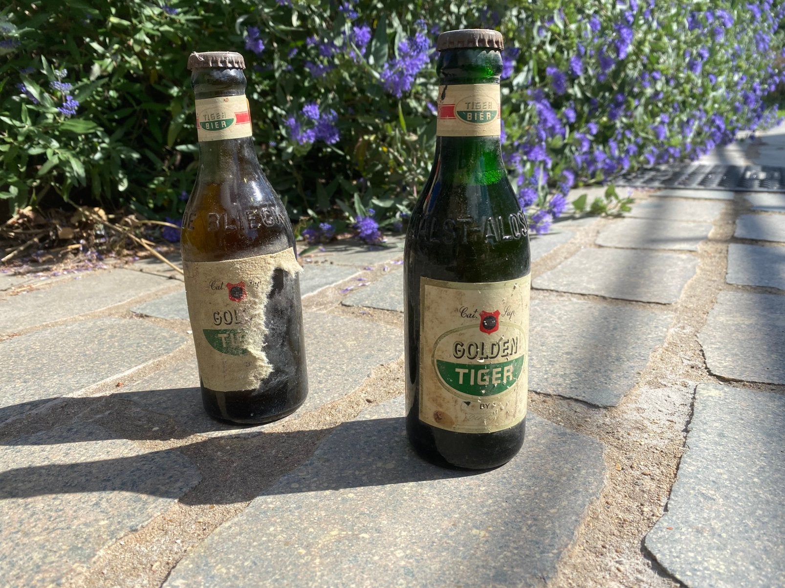2 ongeopende flesjes Golden Tiger De Bliek Aalst, Verzamelen, Ophalen, Zo goed als nieuw, Flesje(s)