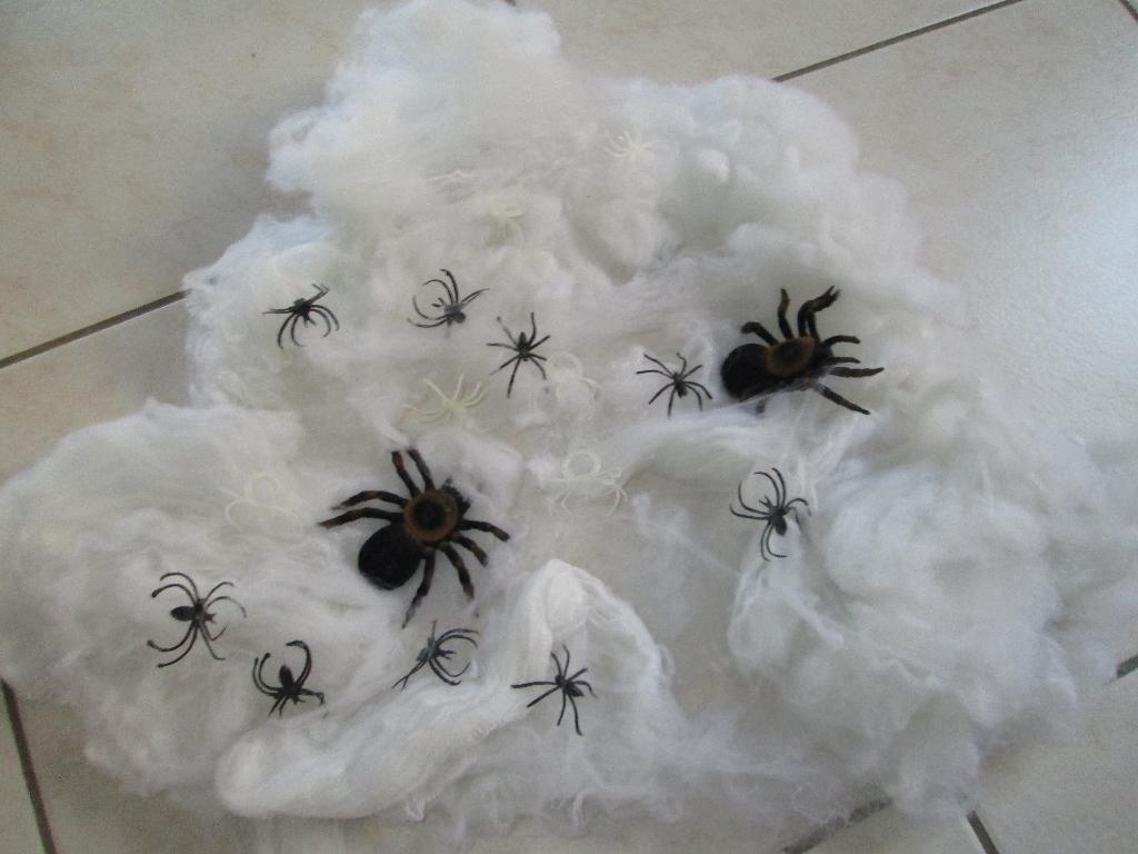 Halloween : Toiles et araignées, Enlèvement, Comme neuf, Décoration