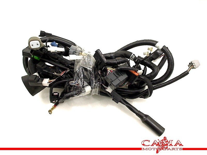 KABELBOOM Suzuki AN 400 Burgman 2018- (AN400) (01-2018/-), Dhr. S. di Majo, Gebruikt, Info@cama-motorparts.nl, P.J. Troelstraweg 8 8
3144 CX  MAASSLUIS, NL