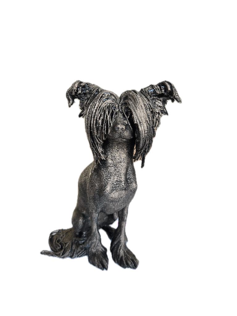 3D beeld hond van foto, Ophalen of Verzenden, Nieuw, Dier