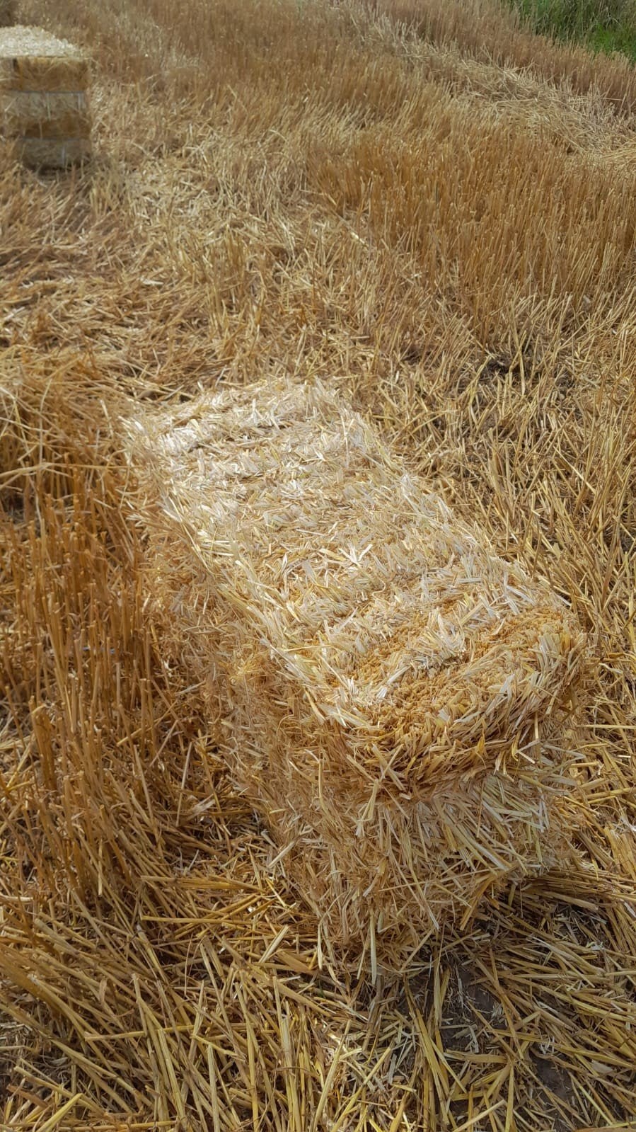 Kleine balen stro, Dieren en Toebehoren, Ophalen