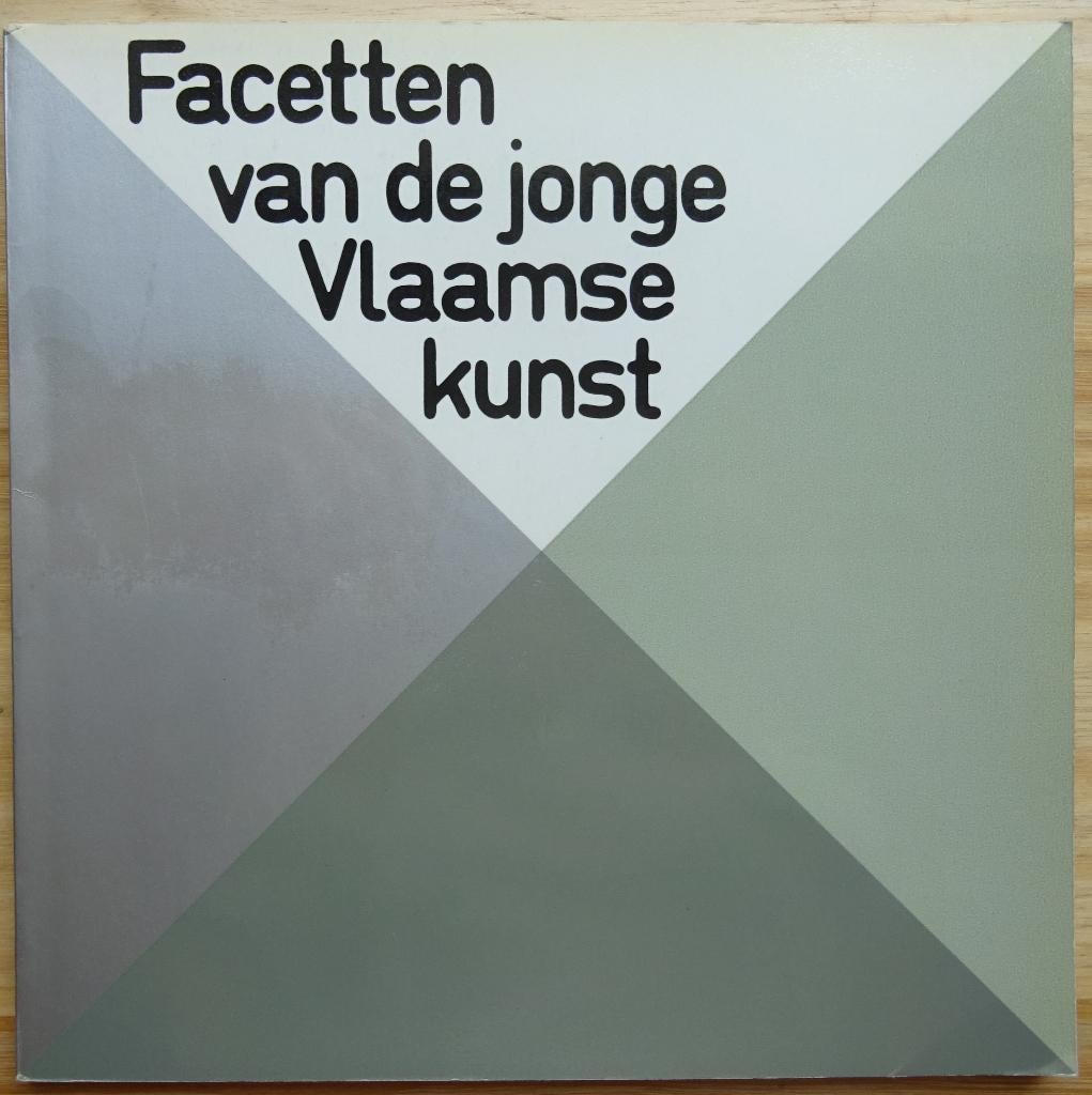 Facetten van de jonge Vlaamse kunst, 1971, Ophalen of Verzenden, Gelezen, Schilder- en Tekenkunst