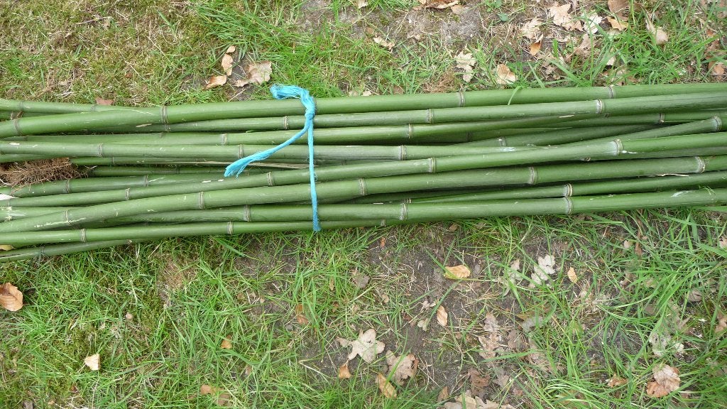 bamboe stokken, Ophalen