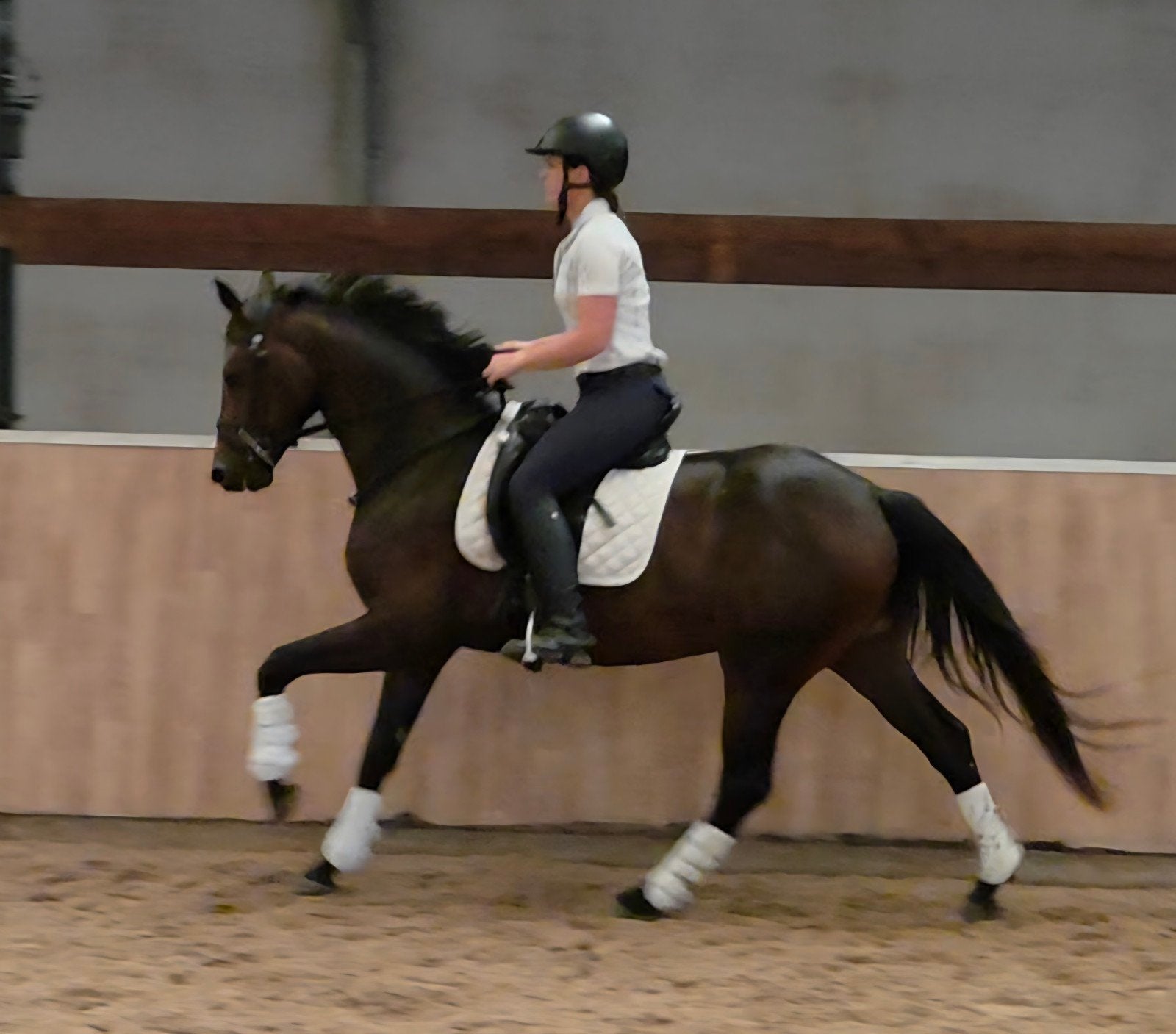 Brave, super bewegende Kjento dressuurruin, Dieren en Toebehoren, Paarden, Met stamboom, Ruin, Dressuurpaard, Zadelmak