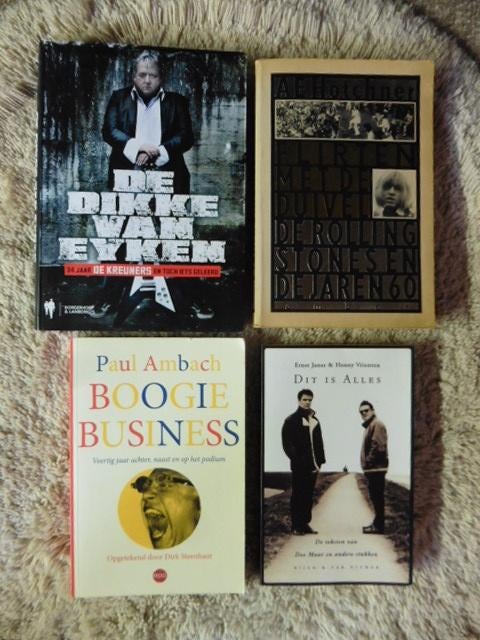 Artiesten / Cultuur ( Paul Ambach - Hugo Matthysen , ...), Boeken, Ophalen of Verzenden, Zo goed als nieuw, Artiest