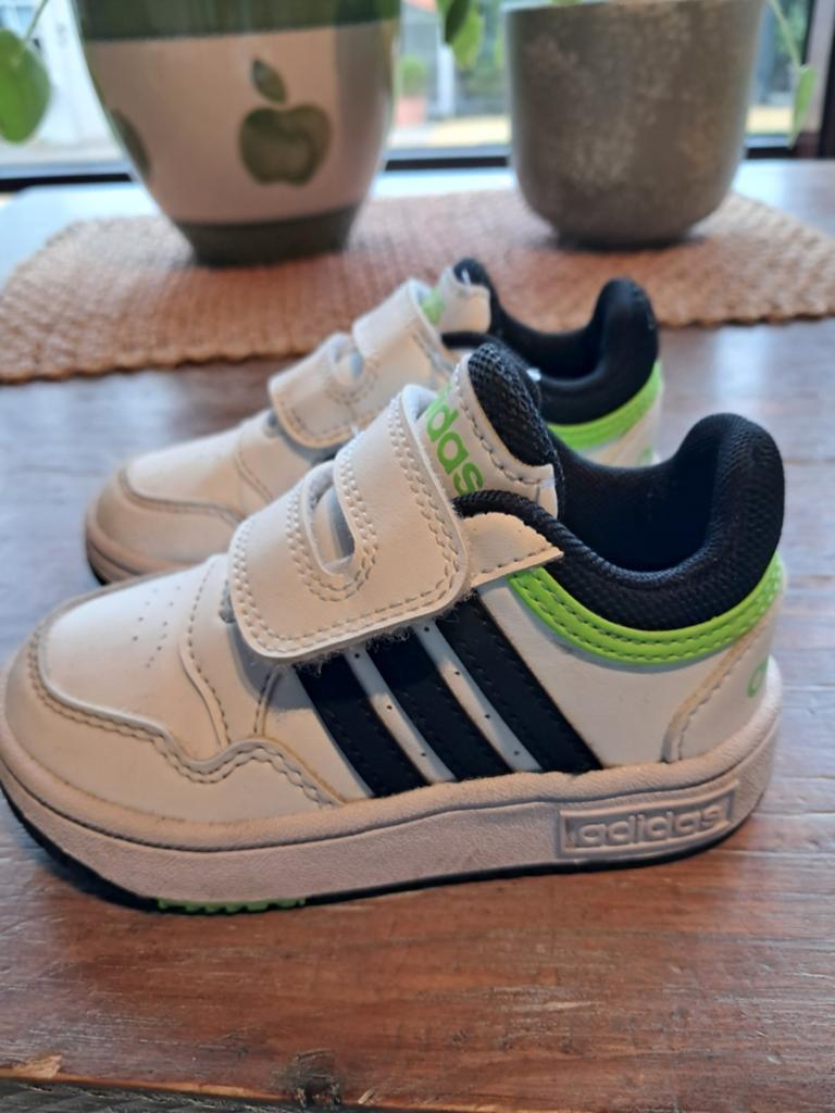 Snaeker Adidas, Enlèvement